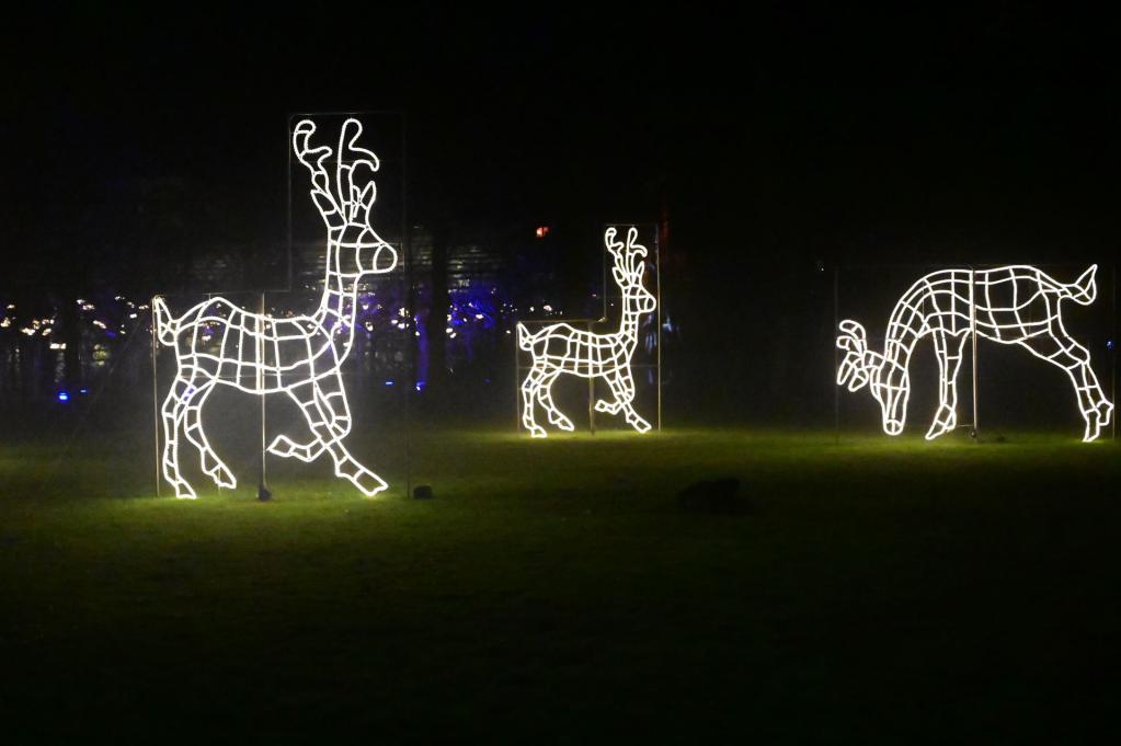 Trancereise zum Krafttier