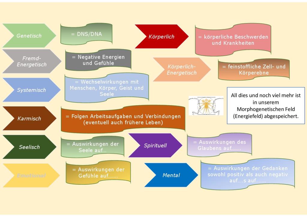 Einflüsse auf das morphogenetischem-feld